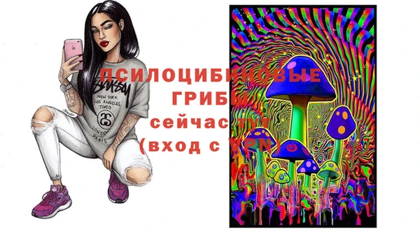 бутират Белокуриха
