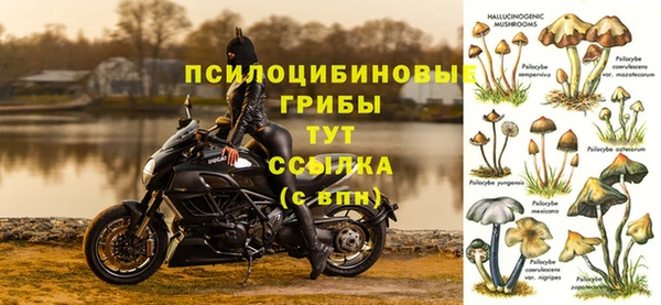 Альфа ПВП Беломорск