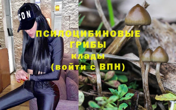 Альфа ПВП Беломорск